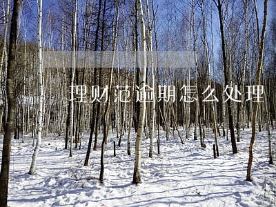 理财范逾期怎么处理 理财范逾期怎么处理