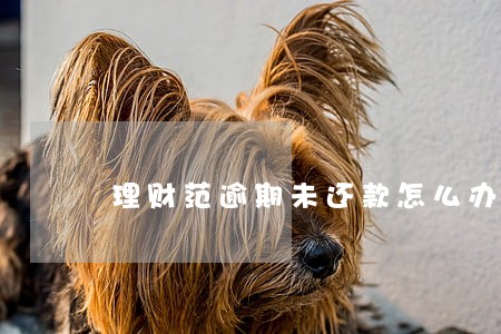 理财范逾期未还款怎么办 理财范逾期未还款怎么办