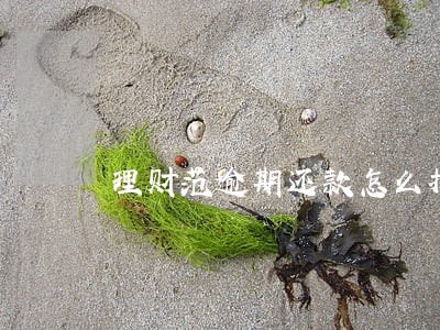 理财范逾期还款怎么投诉 理财范逾期还款怎么投诉
