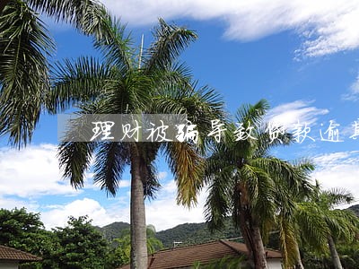 理财被骗导致贷款逾期 理财被骗导致贷款逾期