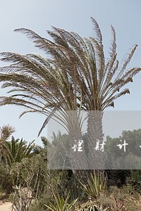 理财计划书逾期十年 理财计划书逾期十年