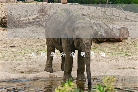 理财软件逾期可怕 理财软件逾期可怕