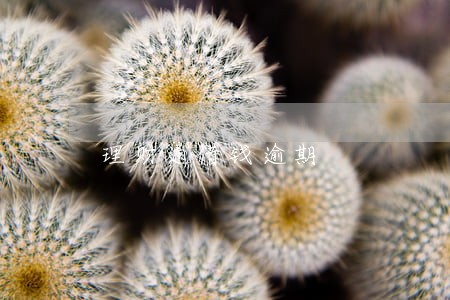 理财通借钱逾期 理财通借钱逾期