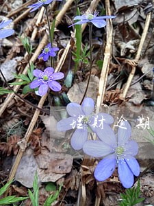 理财逾期3个月 理财逾期3个月