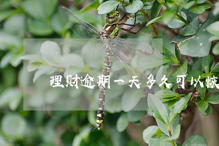 理财逾期一天多久可以恢复收益 理财逾期一天多久可以恢复收益