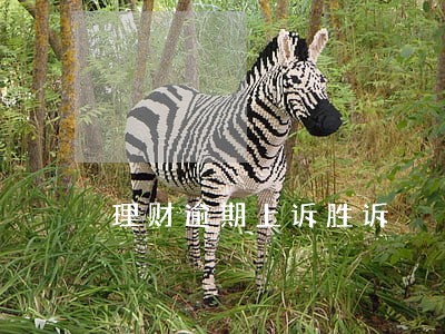 理财逾期上诉胜诉 理财逾期上诉胜诉