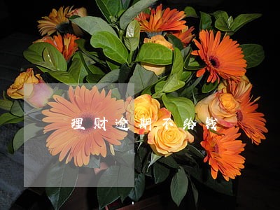 理财逾期不给钱 理财逾期不给钱