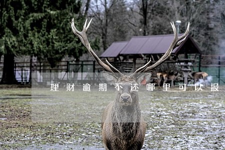 理财逾期不还哪里可以报警 理财逾期不还哪里可以报警