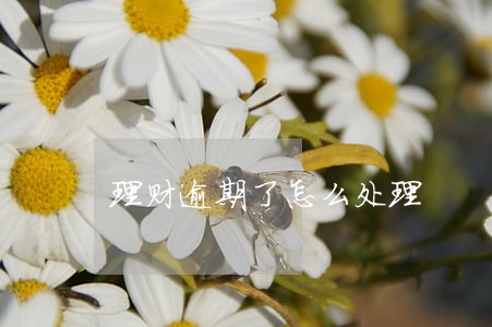理财逾期了怎么处理 理财逾期了怎么处理