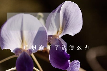 理财逾期了该怎么办 理财逾期了该怎么办
