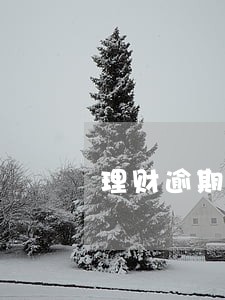 理财逾期债权