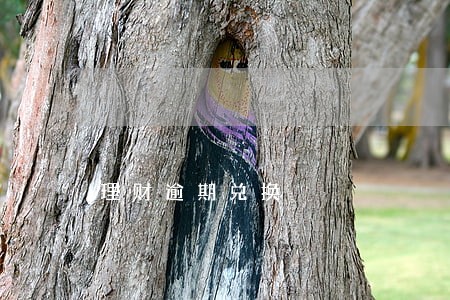理财逾期兑换 理财逾期兑换