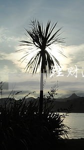理财逾期判决案例 理财逾期判决案例