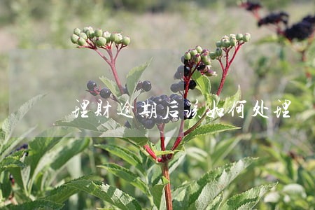 理财逾期后该如何处理 理财逾期后该如何处理