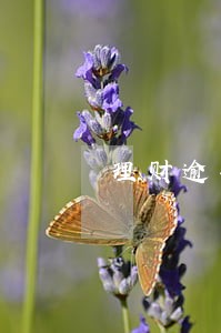 理财逾期强行延期一年 理财逾期强行延期一年