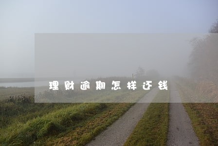 理财逾期怎样还钱