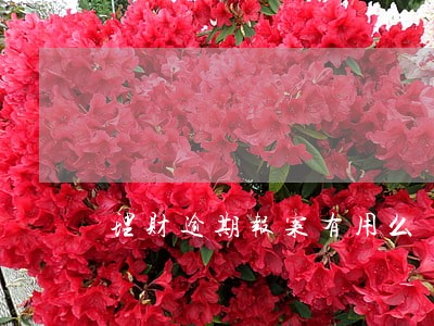 理财逾期报案有用么 理财逾期报案有用么