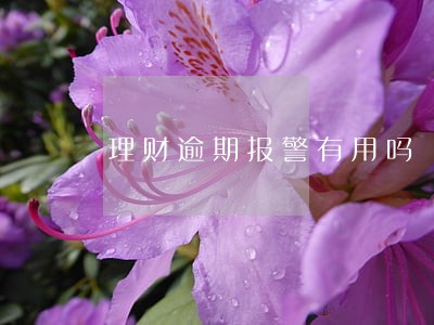 理财逾期报警有用吗 理财逾期报警有用吗