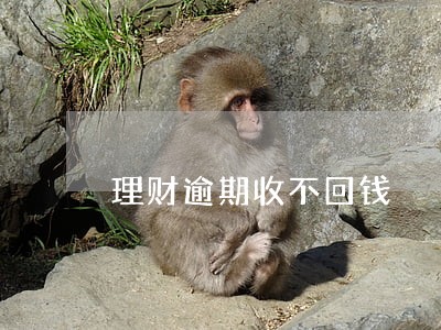 理财逾期收不回钱 理财逾期收不回钱