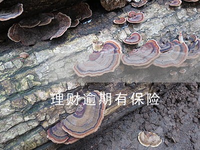 理财逾期有保险 理财逾期有保险