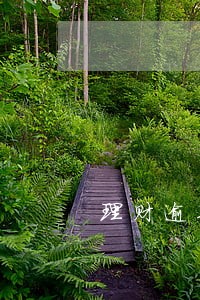 理财逾期未兑付怎么办 理财逾期未兑付怎么办