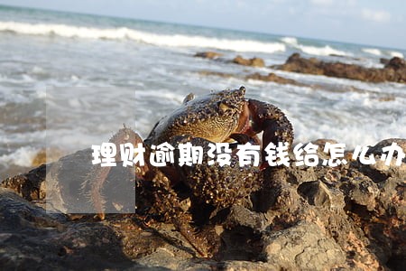 理财逾期没有钱给怎么办 理财逾期没有钱给怎么办