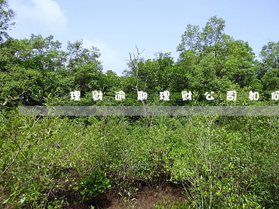 理财逾期理财公司如何处理 理财逾期理财公司如何处理
