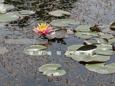 理财逾期的结局