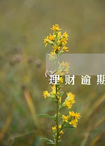 理财逾期被骗申诉期是多久 理财逾期被骗申诉期是多久