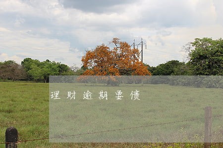 理财逾期要债 理财逾期要债