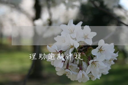 理财逾期计提 理财逾期计提