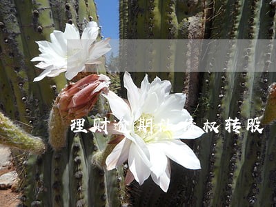 理财逾期让债权转股 理财逾期让债权转股
