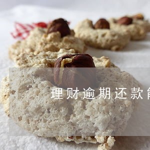 理财逾期还款能报案吗 理财逾期还款能报案吗