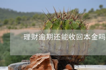 理财逾期还能收回本金吗 理财逾期还能收回本金吗
