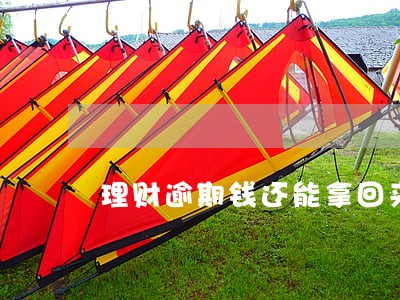 理财逾期钱还能拿回来吗 理财逾期钱还能拿回来吗