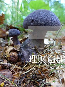 理财逾期风波 理财逾期风波