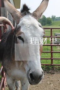 理财里为什么会逾期 理财里为什么会逾期