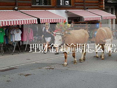 理财金融逾期怎么解决 理财金融逾期怎么解决