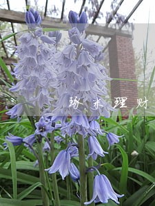 琢米理财逾期 琢米理财逾期