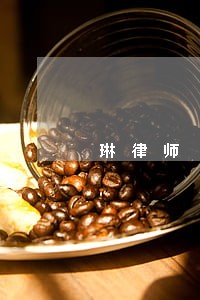 琳律师 琳律师