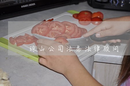 琼山公司法务法律顾问 琼山公司法务法律顾问