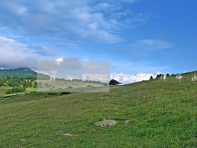琼山区公司经济律师法律咨询 琼山区公司经济律师法律咨询