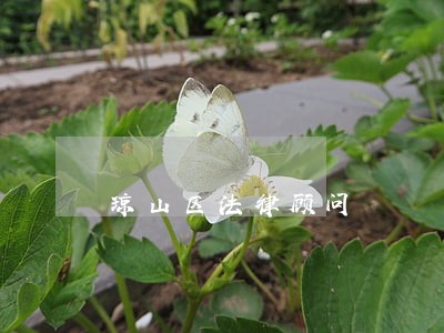 琼山区法律顾问 琼山区法律顾问