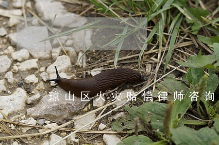 琼山区火灾赔偿律师咨询电话 琼山区火灾赔偿律师咨询电话