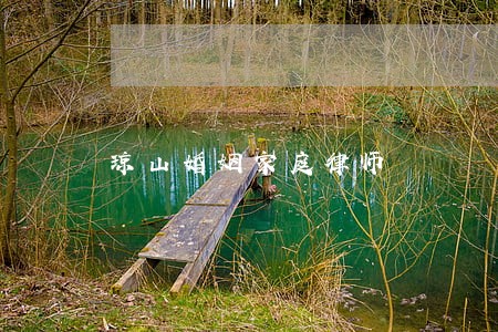 琼山婚姻家庭律师 琼山婚姻家庭律师