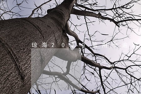 琼海2020信用卡逾期名单 琼海2020信用卡逾期名单