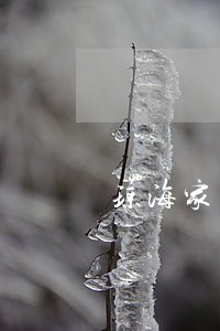 琼海家产纠纷律师