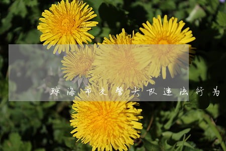 琼海市交警大队违法行为 琼海市交警大队违法行为
