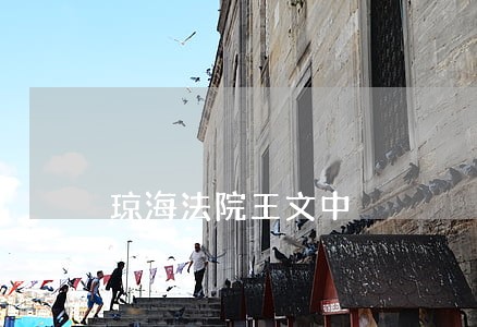 琼海法院王文中 琼海法院王文中