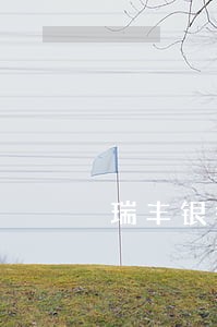 瑞丰银行信贷逾期1年 瑞丰银行信贷逾期1年